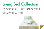 2010 Livins Bed Collection