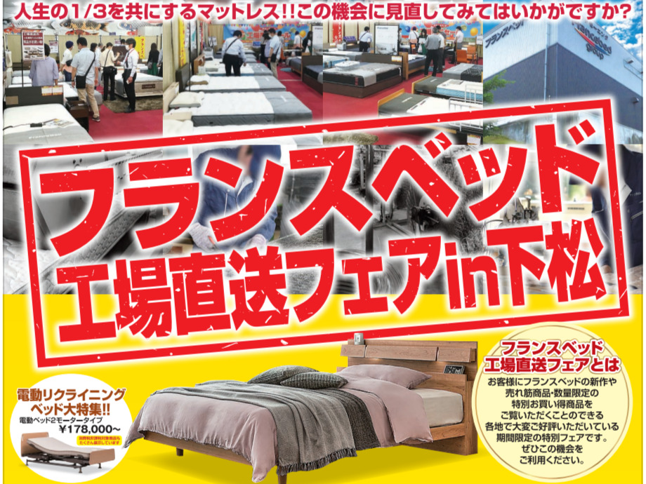 お値下げ！交渉可！リクライニングフランスベッド